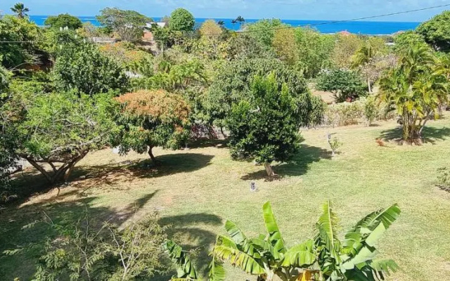 Les Hauts Du Cap