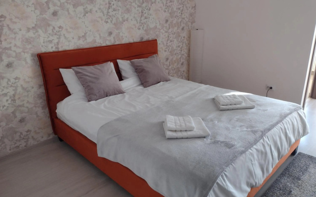 Delightful Apartament Brâncuși