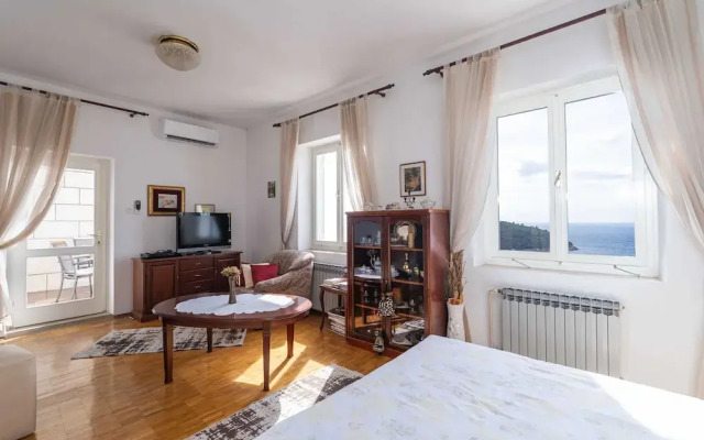 Apartments Cicko