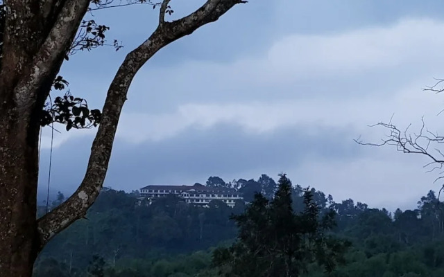 Standard Double Room-wayanad