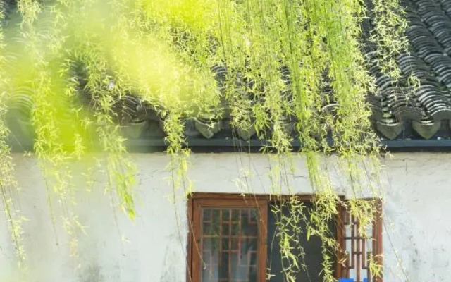 Yueshang Zen Space Homestay (Jinxi Ancient Town)