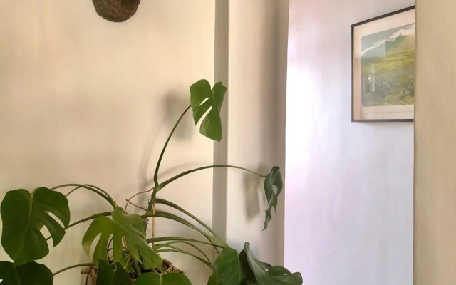 The Pink House boho apartment