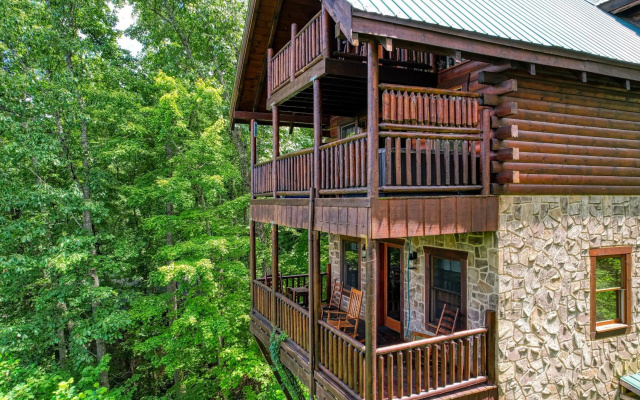 Tree Tops