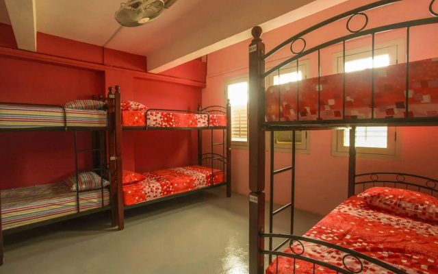 Joyfor Backpackers Hostel