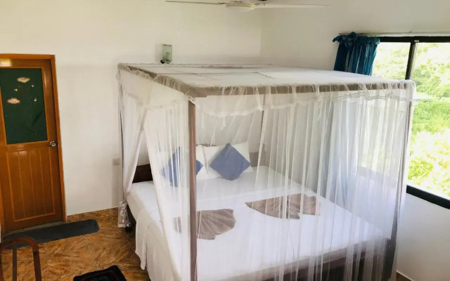 Surf Paradise & Cabana