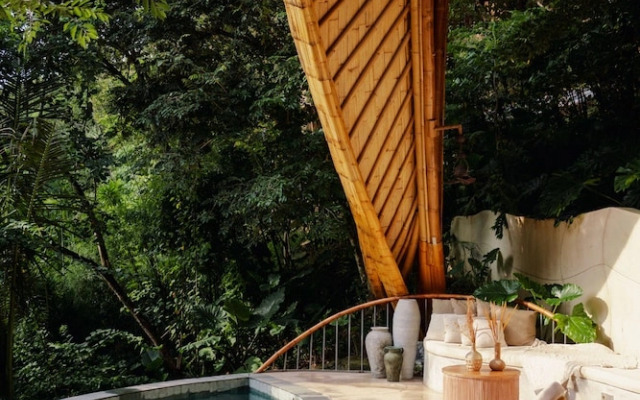 Cocoon Reserve