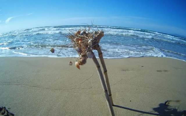 Near The Sea