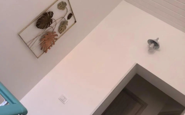 Home Ciccilla