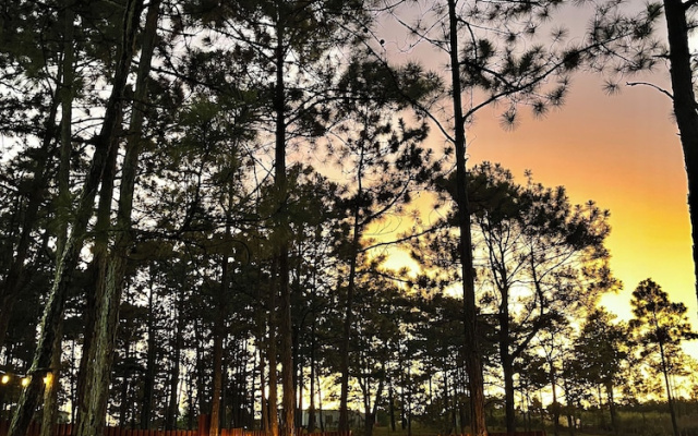 Pine Scape Lodge | Jacuzzi | BBQ | Pool | Mango Hosting