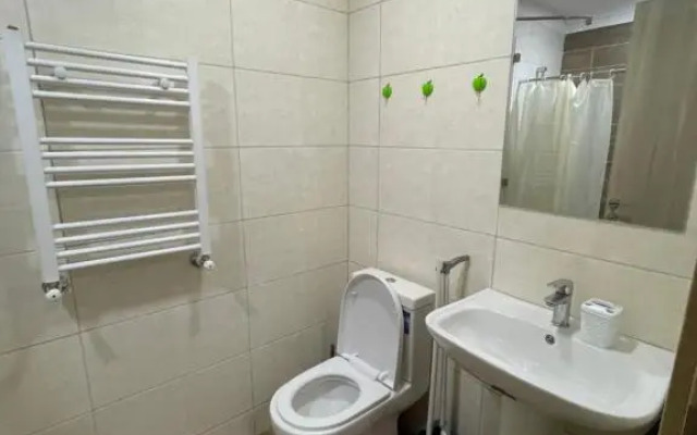 Bakuriani Plaza B416