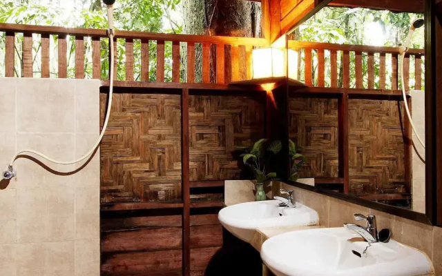 Our Jungle House