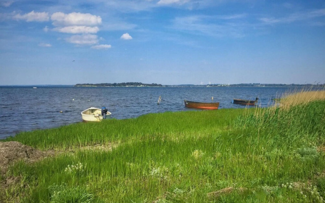 Sanddorn