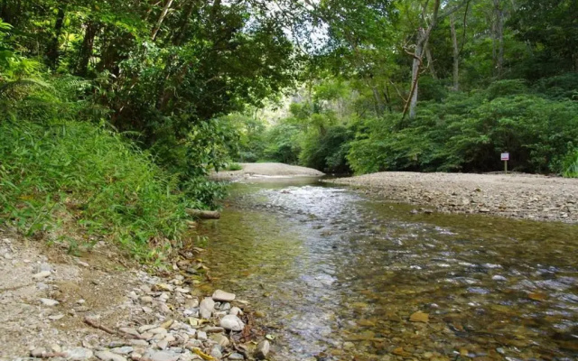 Yanbaru no mori