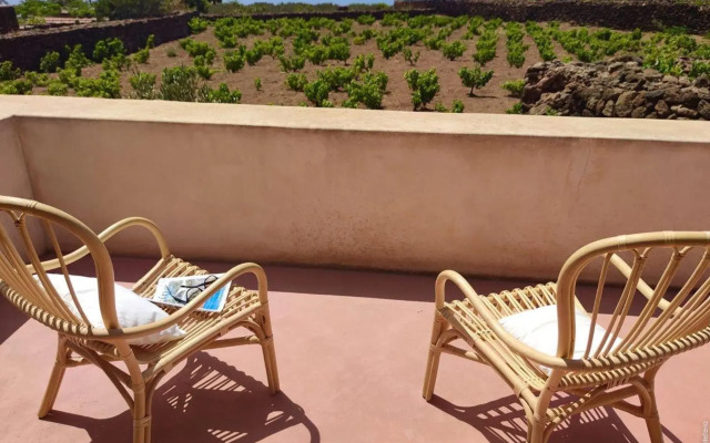 Tenuta Bukkuram