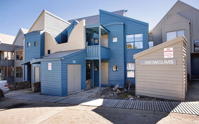 Snowgums 15