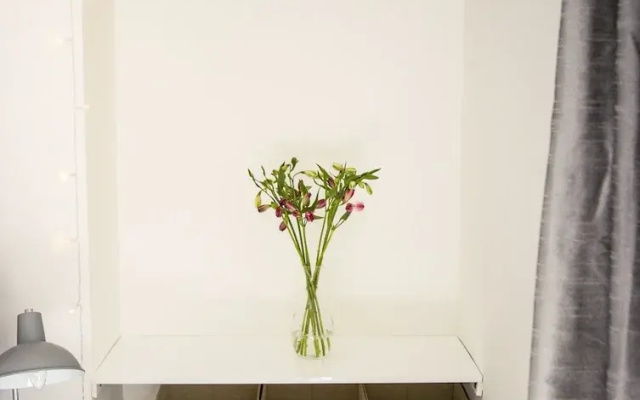 Stunning 1 Bedroom Apartment - Plymouth