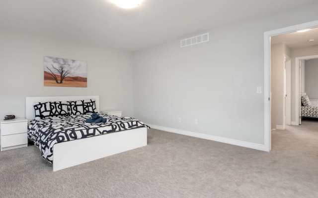 Luxury Entire house mins Niagara falls & Brock uni