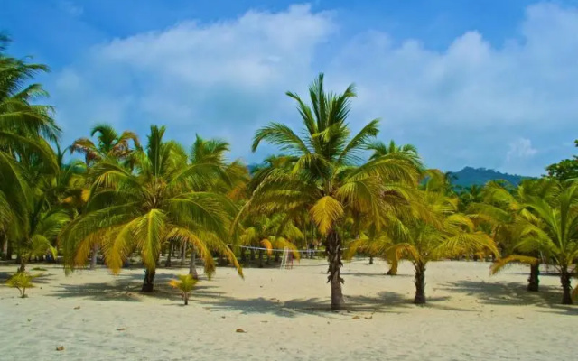 Tay Beach