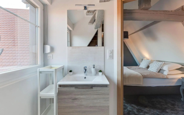 Apartment in Alsace Near Europa-park