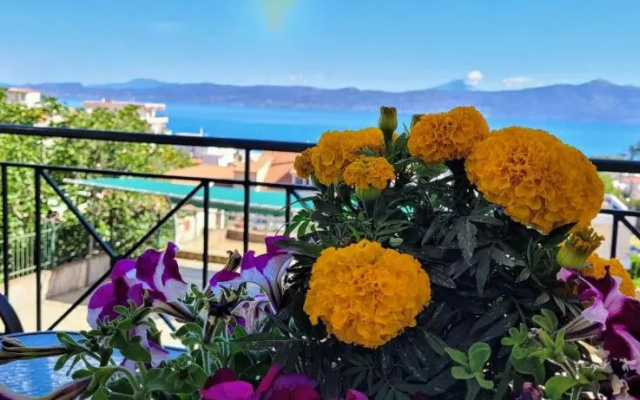 Coralli Apartment