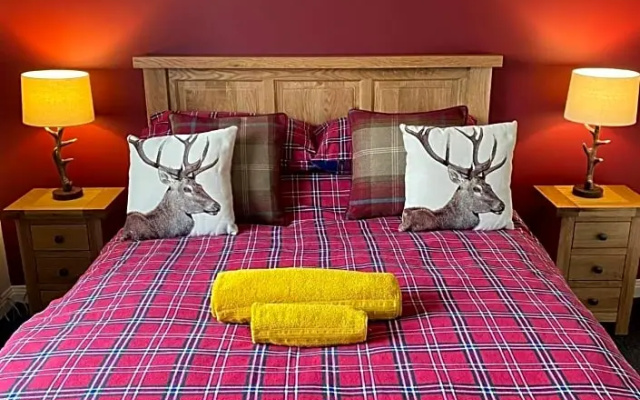 Haste Ye Back (Adults Only)