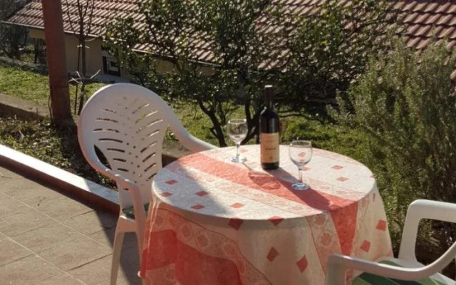Apartments Lazarevic