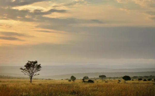 Makweti Safari Lodge