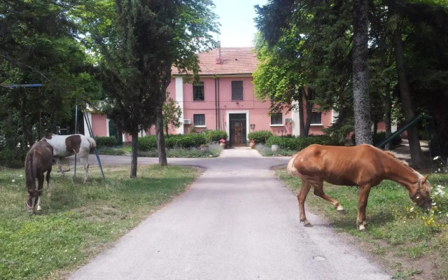 Country House Villa delle Rose