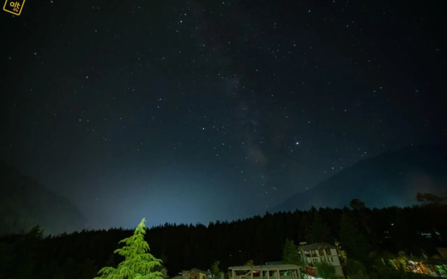 Alt Life Manali