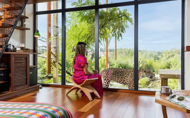 Les Lodges - Parrot World