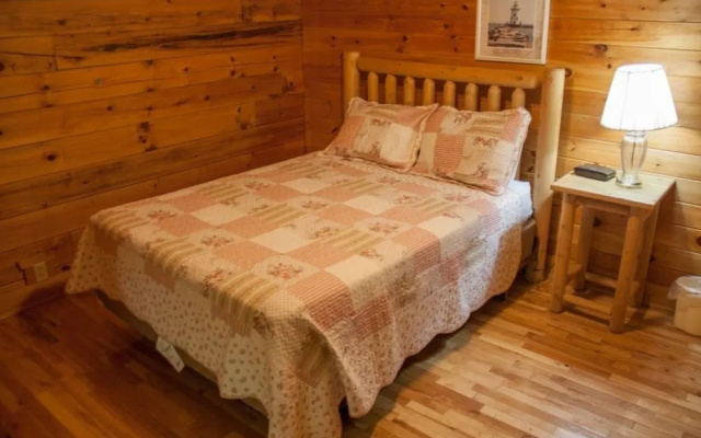 24 Bear Trax - 3 Br Cabin