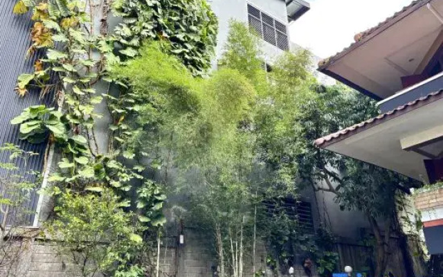 Kayuna Resort