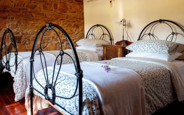 Byronsvale Vineyard and Accommodation