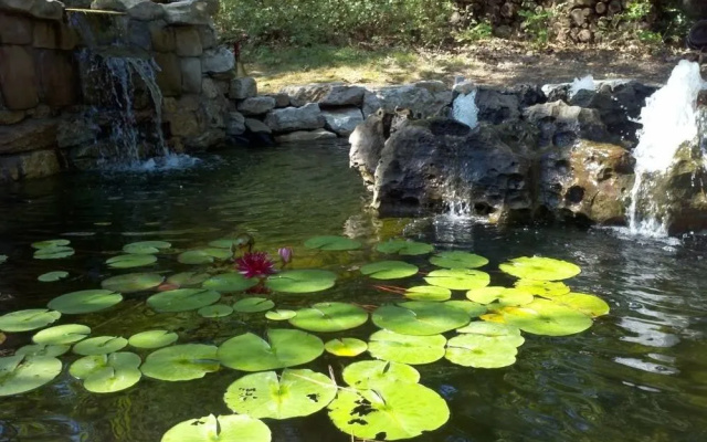 Dragonfly Mountain Lodge