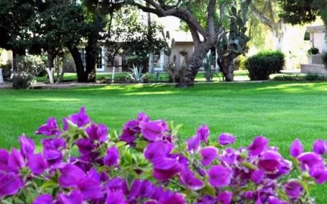 SmokeTree Resort and Bungalows