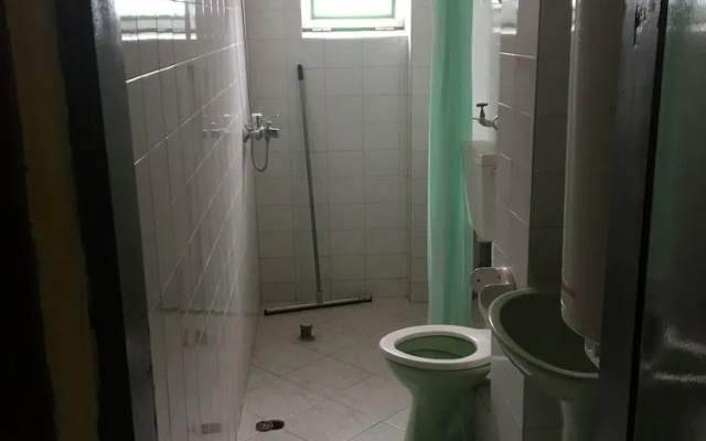 Hair of the Dog Hostel