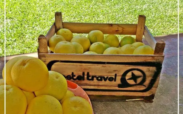 Hotel Travel Encarnación