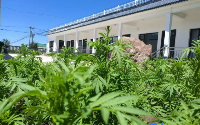 Nalati Primitive Senling Resort B&B