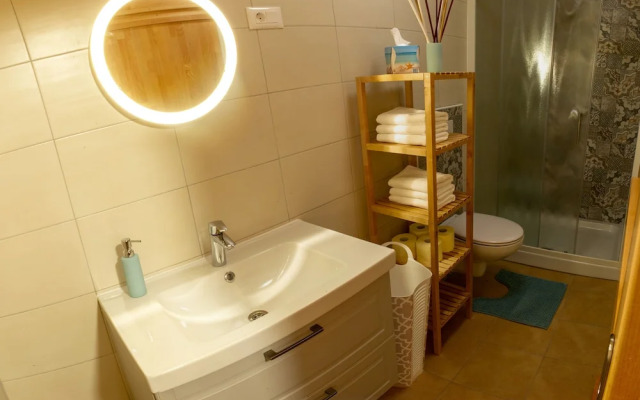 Apartments Laznica