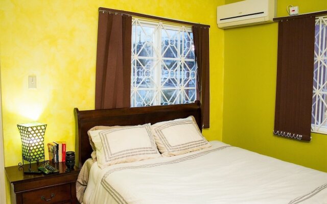 Отель New Kingston Guest Apt at The Stadium комната для гостей