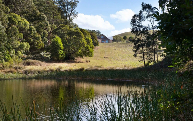 Three Paddocks