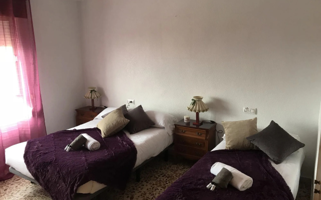 Homely apartments La Mata Centro