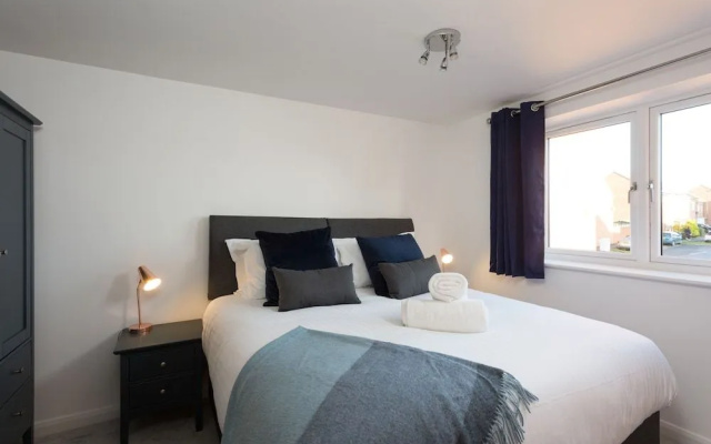 The Aura Suite