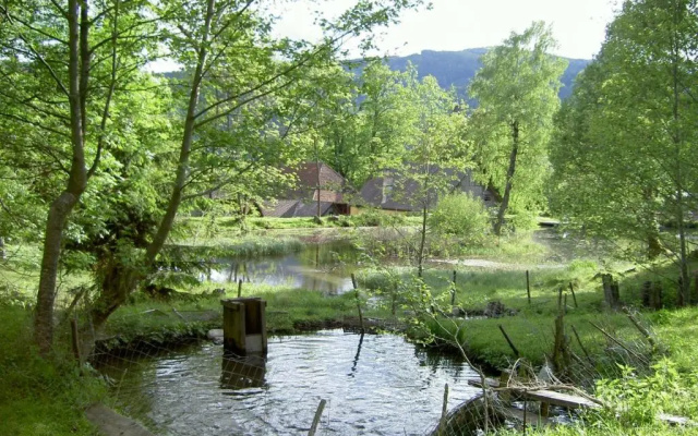Castello Schloss Lichtengraben
