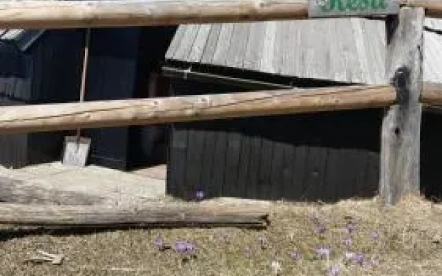 Chalet Resa Velika planina
