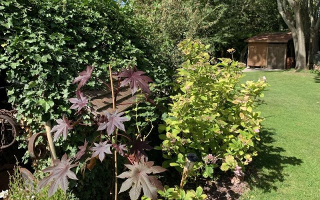 L'Orée de Giverny