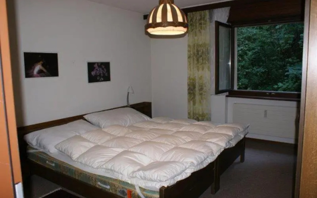 Lärchenwald 1706