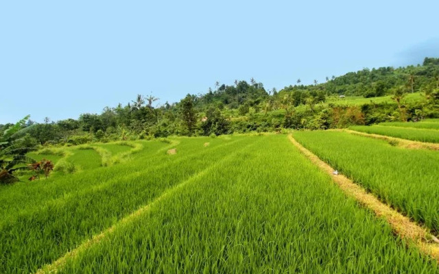 The Khana Sambangan