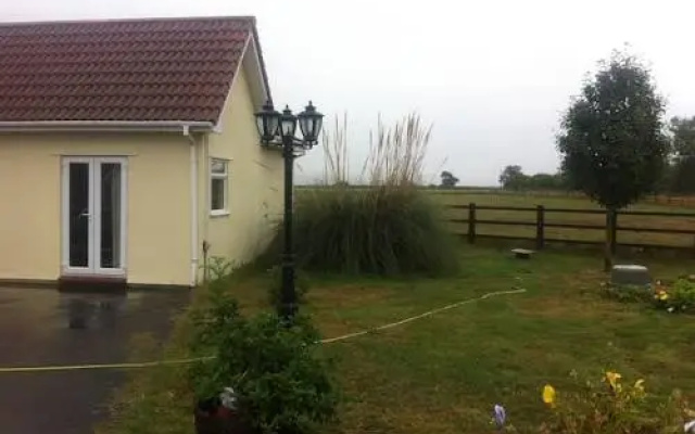 Duck View