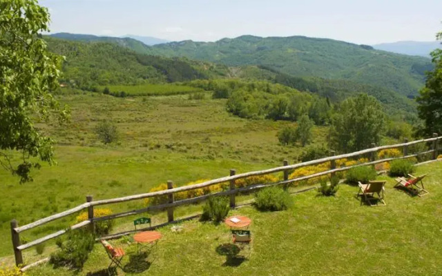 Le Selve di Vallolmo